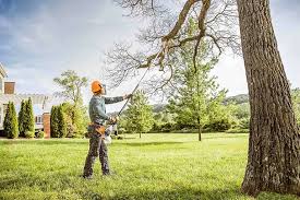 Best Commercial Tree Services  in Walnut Creek, CA