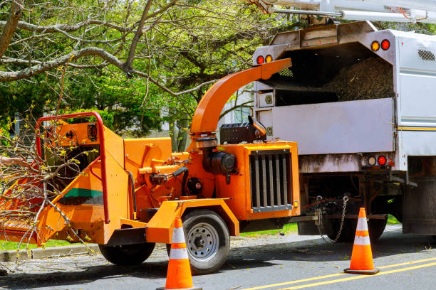  Walnut Creek, CA Tree Services Pros